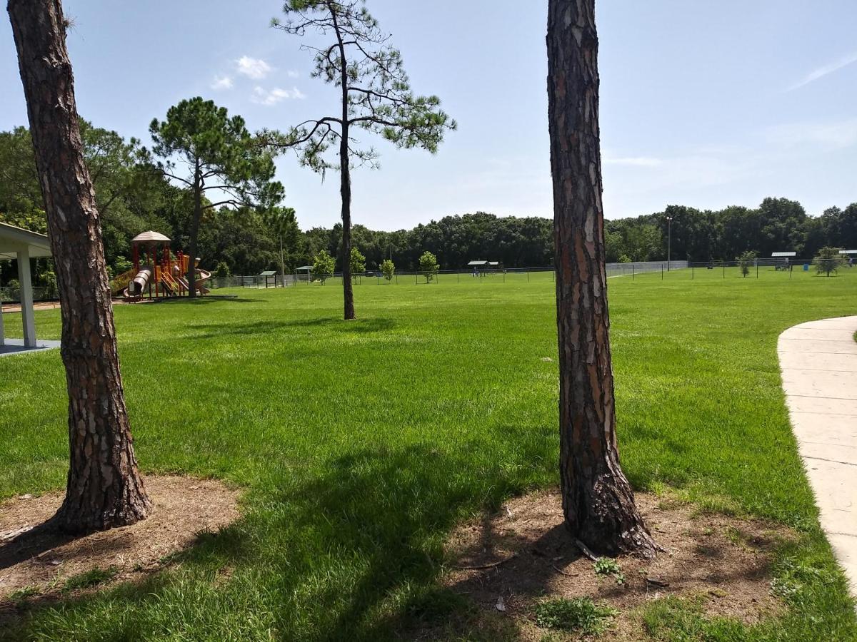 Citrus Park