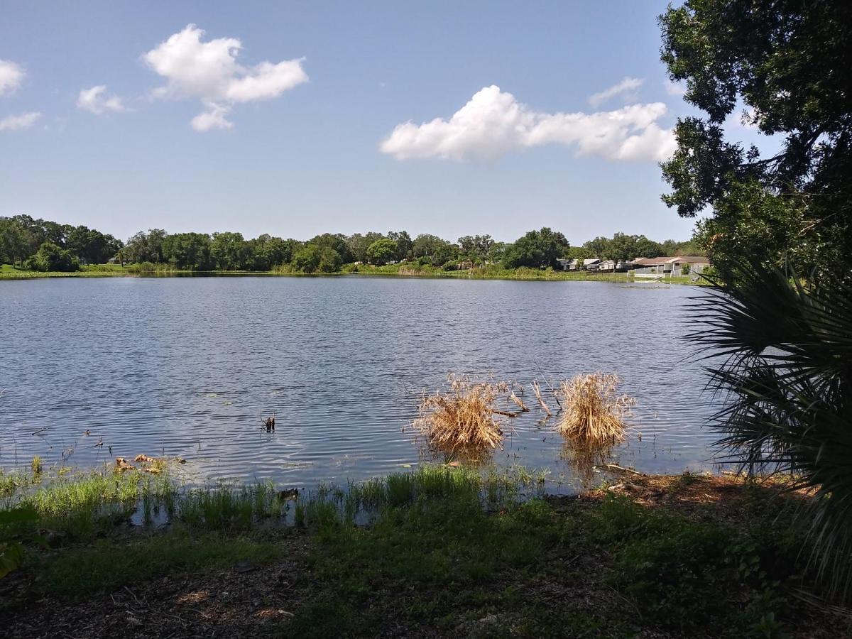 Citrus Park Homestay